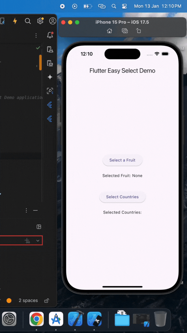 Flutter Easy Select Demo